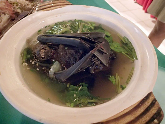 Kinh dị món súp dơi nguyên con, nhìn đã muốn ngất - Hình 10 Kinh di mon sup doi nguyen con, nhin da muon ngat-Hinh-10