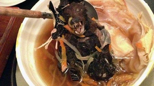 Kinh dị món súp dơi nguyên con, nhìn đã muốn ngất - Hình 3 Kinh di mon sup doi nguyen con, nhin da muon ngat-Hinh-3