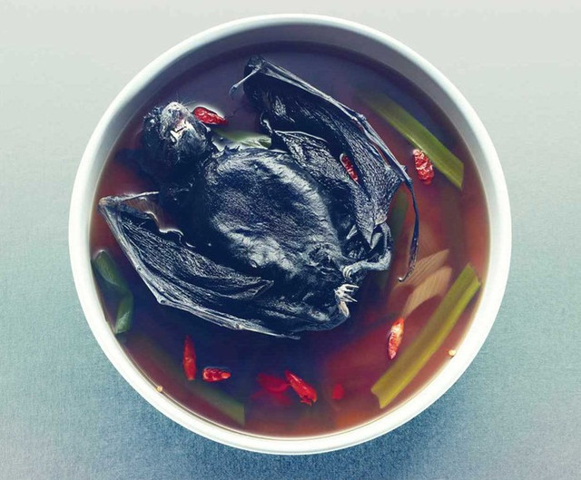 Kinh dị món súp dơi nguyên con, nhìn đã muốn ngất - Hình 6 Kinh di mon sup doi nguyen con, nhin da muon ngat-Hinh-6