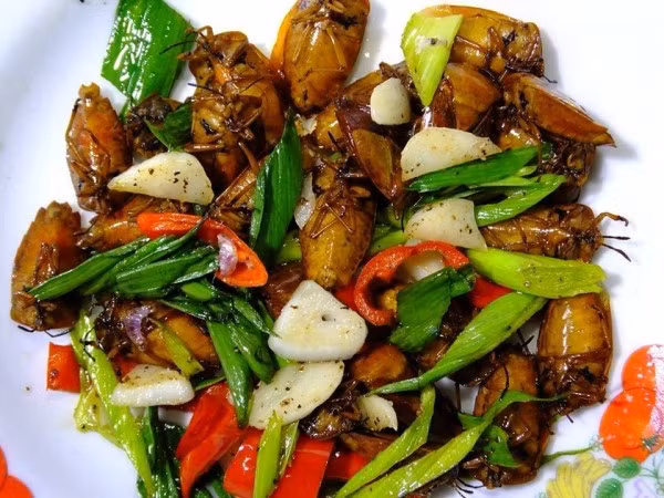 Am anh mon tu loai bo xit vua hoi vua co the gay mu loa-Hinh-8