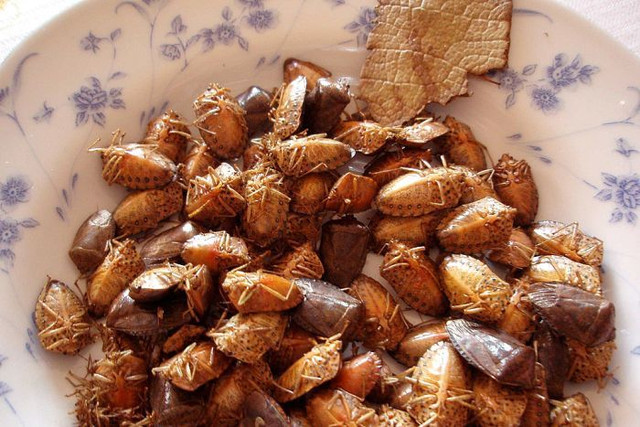 Am anh mon tu loai bo xit vua hoi vua co the gay mu loa-Hinh-7