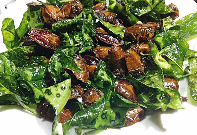 Am anh mon tu loai bo xit vua hoi vua co the gay mu loa