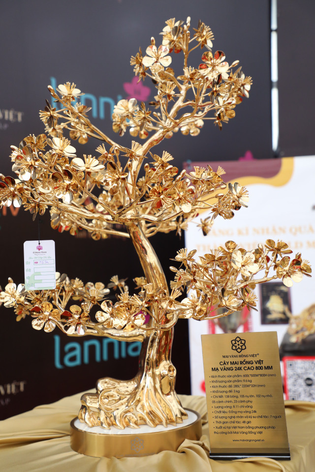 Mai ma vang 24K lon nhat Viet Nam cho dai gia ruoc gia gan 6 ti-Hinh-9