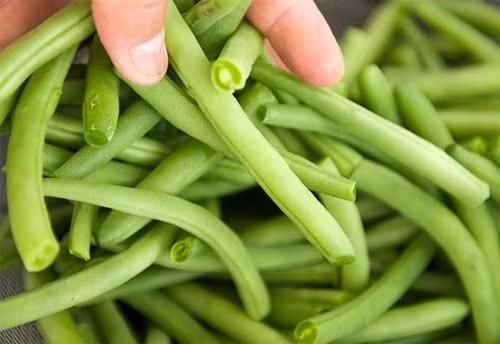 4 loai rau khong chan truoc khi nau de gay ngo doc-Hinh-3