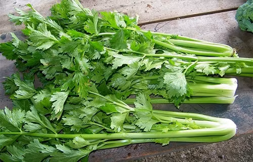 4 loai rau khong chan truoc khi nau de gay ngo doc-Hinh-2