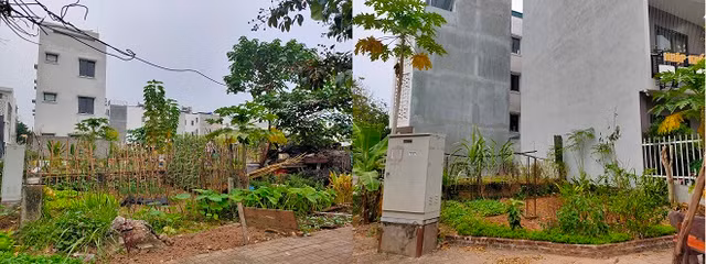 Khu do thi moi Nam duong 32: Nhung mong nha tien ty de... trong rau-Hinh-15