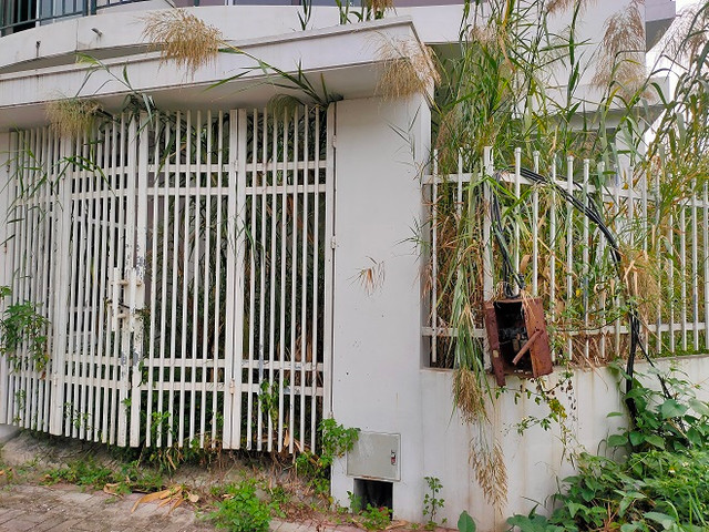Khu đô thị mới Nam đường 32: Những móng nhà tiền tỷ để... trồng rau - Hình 8 Khu do thi moi Nam duong 32: Nhung mong nha tien ty de... trong rau-Hinh-8
