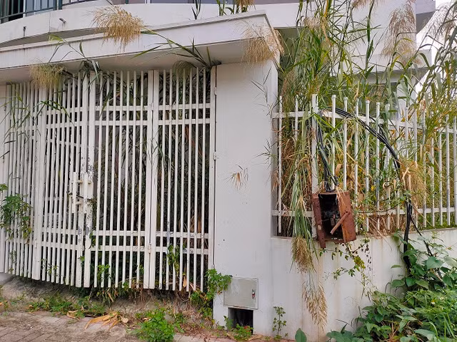 Khu do thi moi Nam duong 32: Nhung mong nha tien ty de... trong rau-Hinh-8