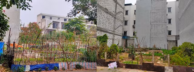 Khu do thi moi Nam duong 32: Nhung mong nha tien ty de... trong rau-Hinh-14