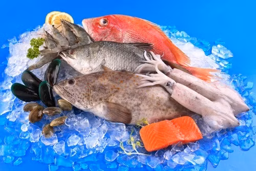 3 loai hai san quen thuoc chua ky sinh trung cuc lon-Hinh-6