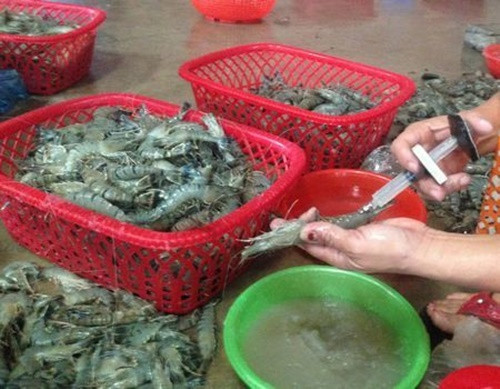 3 loại hải sản quen thuộc chứa ký sinh trùng cực lớn - Hình 4 3 loai hai san quen thuoc chua ky sinh trung cuc lon-Hinh-4