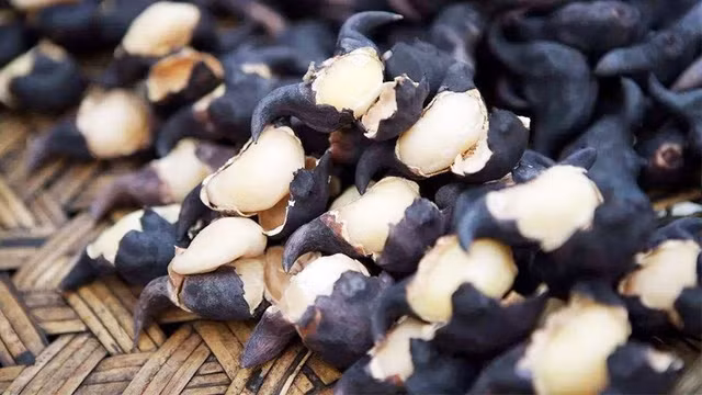 5 loai rau cu ma benh nhan tieu duong tuyet doi khong nen an-Hinh-7