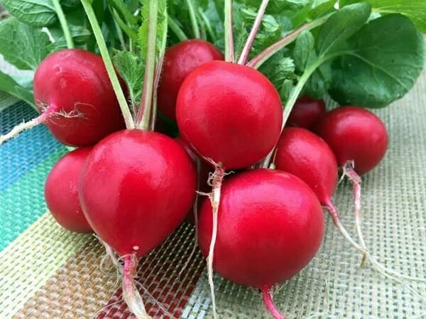 5 loại rau củ mà bệnh nhân tiểu đường tuyệt đối không nên ăn - Hình 5 5 loai rau cu ma benh nhan tieu duong tuyet doi khong nen an-Hinh-5