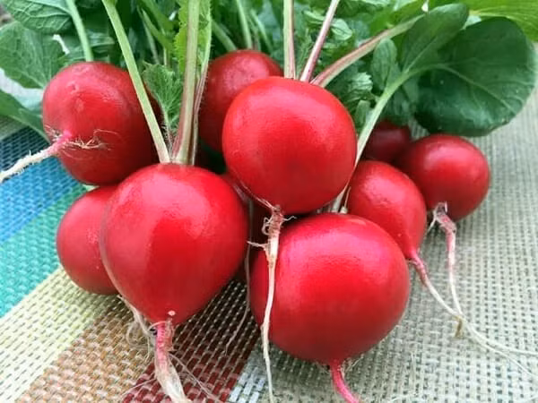 5 loai rau cu ma benh nhan tieu duong tuyet doi khong nen an-Hinh-5