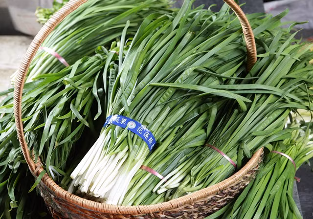 Rau he co tac dung chong ung thu it nguoi biet-Hinh-2