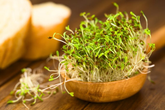 Những loại thực phẩm cực nguy hiểm quanh chúng ta - Hình 5 Nhung loai thuc pham cuc nguy hiem quanh chung ta-Hinh-5