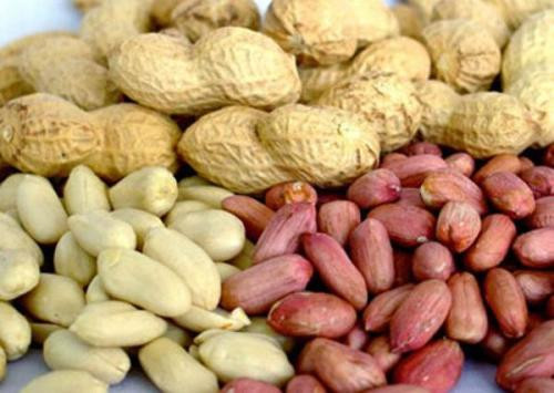 4 loại thực phẩm giúp mẹ bầu bổ sung dinh dưỡng, gọi sữa về nhanh - Hình 6 4 loai thuc pham giup me bau bo sung dinh duong, goi sua ve nhanh-Hinh-6