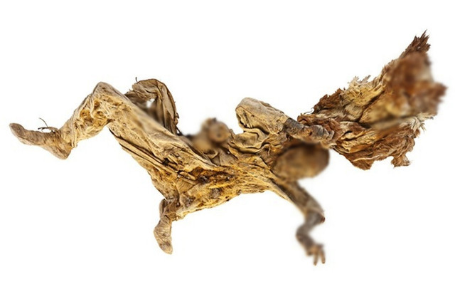 Rùng mình xác ướp “người muối", hàng nghìn năm vẫn nguyên da, tóc - Hình 4 Rung minh xac uop “nguoi muoi