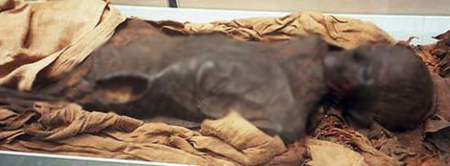 Rùng mình xác ướp “người muối", hàng nghìn năm vẫn nguyên da, tóc - Hình 7 Rung minh xac uop “nguoi muoi