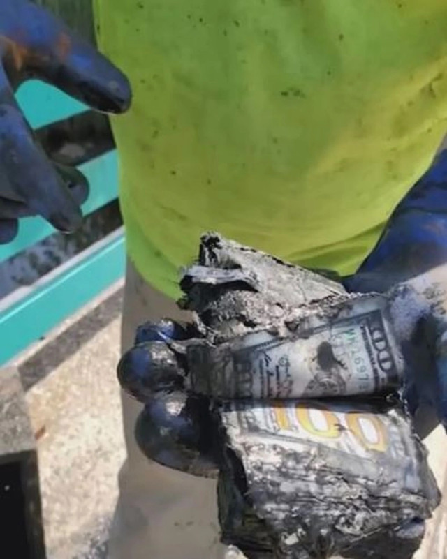 Cặp vợ chồng người Mỹ đã vô tình tìm thấy "kho báu" khi câu cá - Hình 4 Cap vo chong nguoi My da vo tinh tim thay