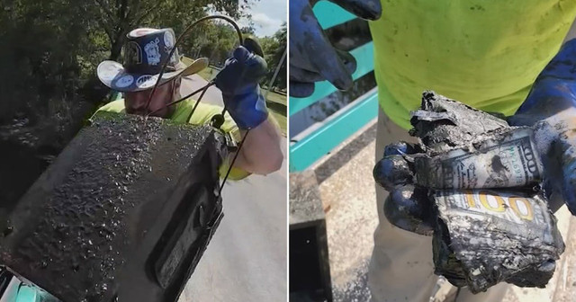 Cặp vợ chồng người Mỹ đã vô tình tìm thấy "kho báu" khi câu cá - Hình 7 Cap vo chong nguoi My da vo tinh tim thay