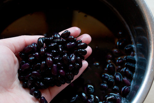 Cơ thể thay đổi đáng mừng khi ăn đậu đen ngâm thứ này mỗi ngày - Hình 6 Co the thay doi dang mung khi an dau den ngam thu nay moi ngay-Hinh-6