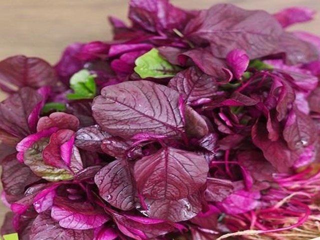 3 loại rau hạn chế ăn để thận không bị tổn thương - Hình 11 3 loai rau han che an de than khong bi ton thuong-Hinh-11