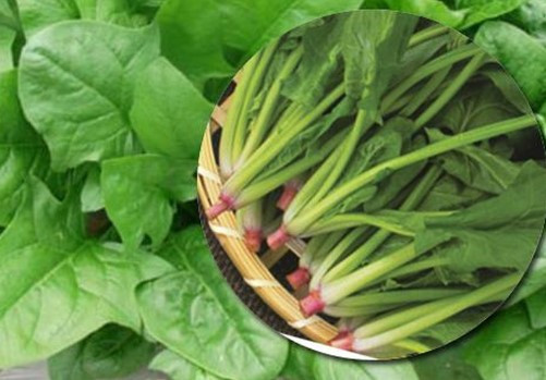 3 loại rau hạn chế ăn để thận không bị tổn thương - Hình 7 3 loai rau han che an de than khong bi ton thuong-Hinh-7