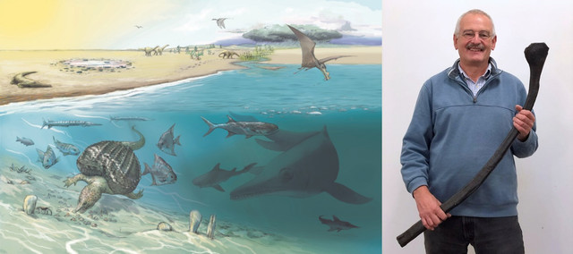 Khi tìm thấy mẫu răng của Ichthyosaurs, các chuyên gia đã chứng thực được loài thằn lằn biển này sở hữu bộ răng lớn để ăn thức ăn.