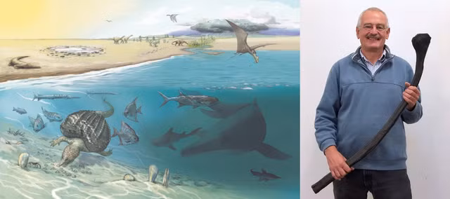 Khi tìm thấy mẫu răng của Ichthyosaurs, các chuyên gia đã chứng thực được loài thằn lằn biển này sở hữu bộ răng lớn để ăn thức ăn.