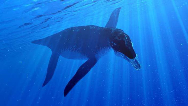 Theo giáo sư Martin Sander, Ichthyosaurs có thể đã ăn các chủng ichthyosaurs nhỏ hơn và loài mực khổng lồ.