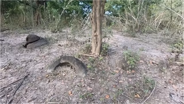 Hoai nghi loat chum da khong lo hon 2.000 tuoi o An Do-Hinh-7