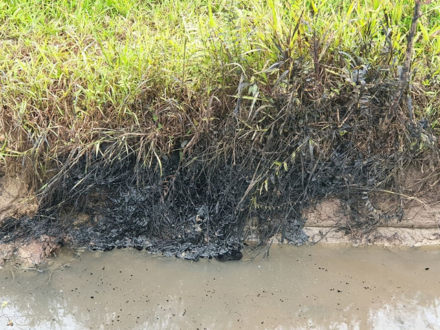 Nông dân nhập viện sau khi lội qua chất lỏng lạ đen xì ở ruộng - Hình 6 Nong dan nhap vien sau khi loi qua chat long la den xi o ruong-Hinh-6