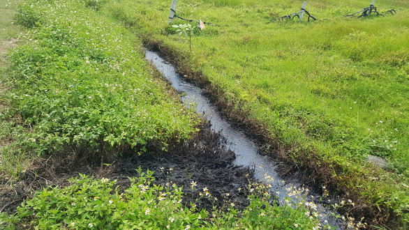 Nông dân nhập viện sau khi lội qua chất lỏng lạ đen xì ở ruộng - Hình 3 Nong dan nhap vien sau khi loi qua chat long la den xi o ruong-Hinh-3