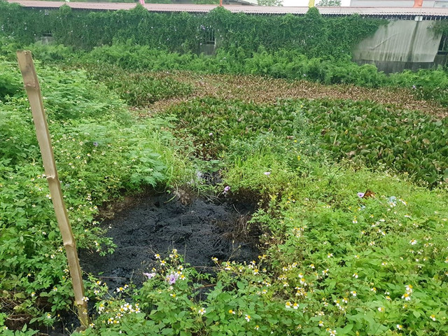 Nông dân nhập viện sau khi lội qua chất lỏng lạ đen xì ở ruộng - Hình 5 Nong dan nhap vien sau khi loi qua chat long la den xi o ruong-Hinh-5