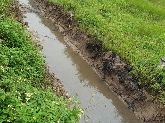 Nông dân nhập viện sau khi lội qua chất lỏng lạ đen xì ở ruộng - Hình 4 Nong dan nhap vien sau khi loi qua chat long la den xi o ruong-Hinh-4