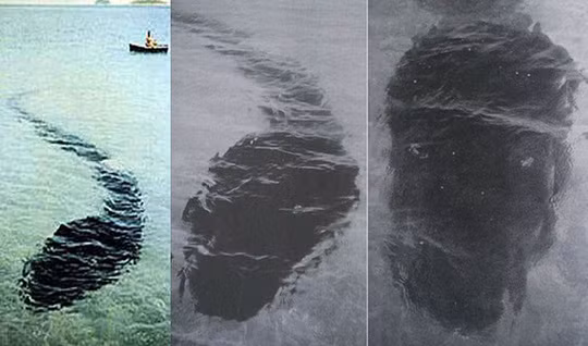 Nhung buc anh ky bi nhat lich su-Hinh-2