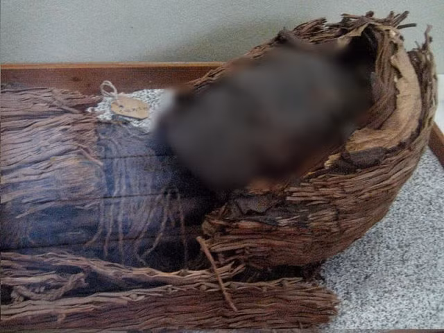 Vi sao loat xac uop co nhat the gioi co dau hieu phan huy?-Hinh-8