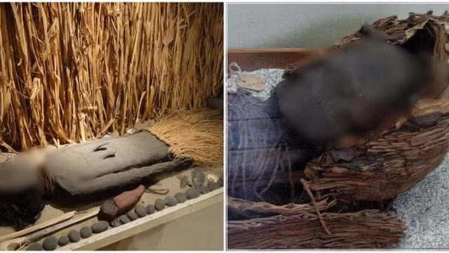 Vi sao loat xac uop co nhat the gioi co dau hieu phan huy?-Hinh-7