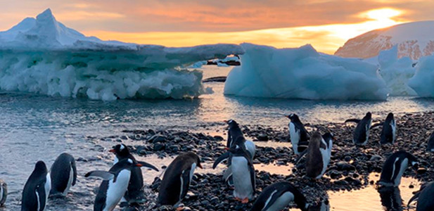 Vì sao ở Bắc Cực và Nam Cực đều có những âm thanh kỳ lạ? - Hình 7 Vi sao o Bac Cuc va Nam Cuc deu co nhung am thanh ky la?-Hinh-7