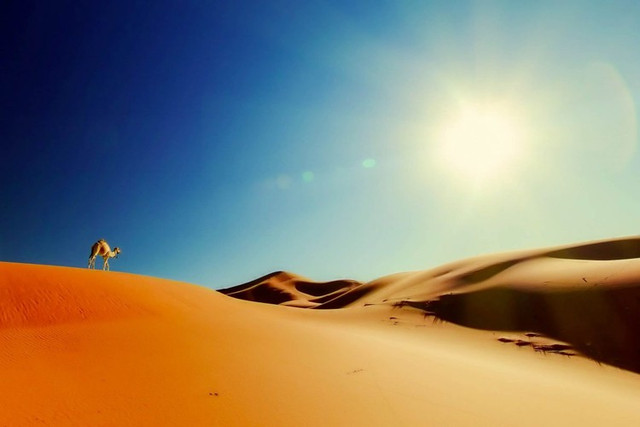 Nếu phủ pin mặt trời kín sa mạc Sahara sẽ tạo ra lượng điện khổng lồ? Neu phu pin mat troi kin sa mac Sahara se tao ra luong dien khong lo?