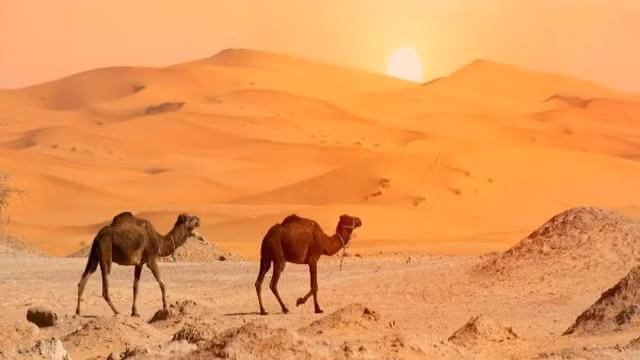 Neu phu pin mat troi kin sa mac Sahara se tao ra luong dien khong lo?-Hinh-10