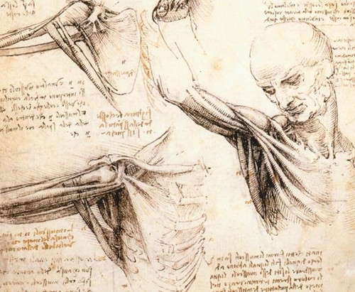 Lạnh người những tiên đoán chính xác về tương lai của Leonardo da Vinci - Hình 8 Lanh nguoi nhung tien doan chinh xac ve tuong lai cua Leonardo da Vinci-Hinh-8