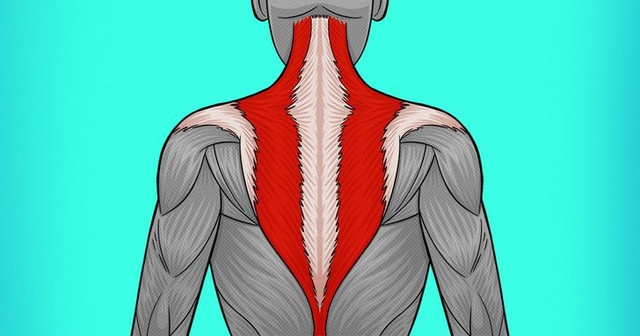 Những cách giúp giảm đau ở cổ và lưng hiệu quả - Hình 7 Nhung cach giup giam dau o co va lung hieu qua-Hinh-7