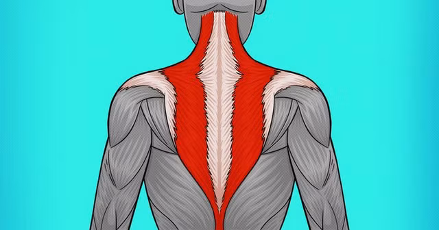 Nhung cach giup giam dau o co va lung hieu qua-Hinh-7