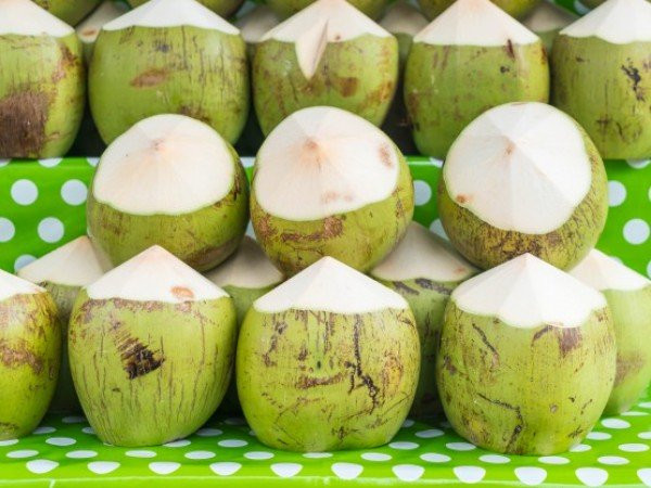 Vì sao người tiểu đường, huyết áp không nên uống nước dừa? - Hình 2 Vi sao nguoi tieu duong, huyet ap khong nen uong nuoc dua?-Hinh-2