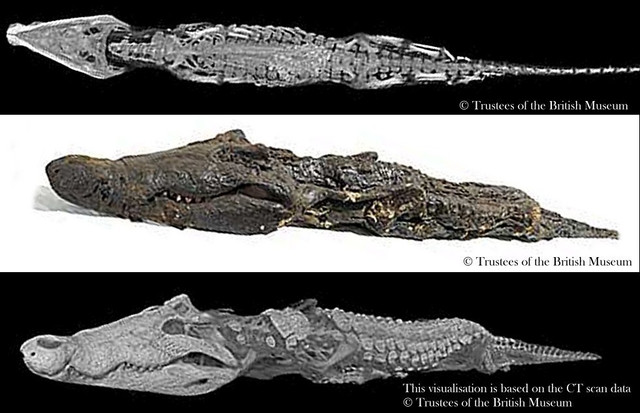 Tuc uop xac noi tieng cua nguoi Ai Cap co dai-Hinh-4