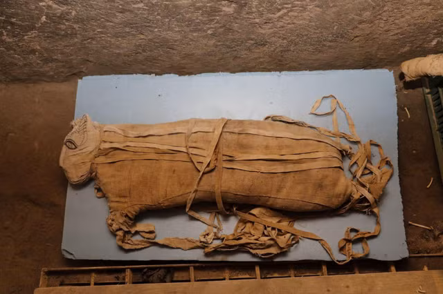 Tuc uop xac noi tieng cua nguoi Ai Cap co dai-Hinh-6