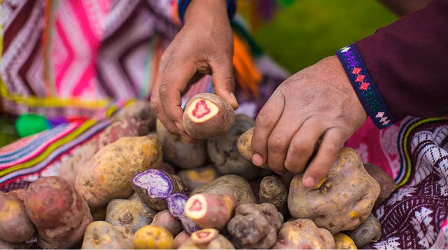 Dieu thu vi o dat nuoc Peru huyen bi-Hinh-3