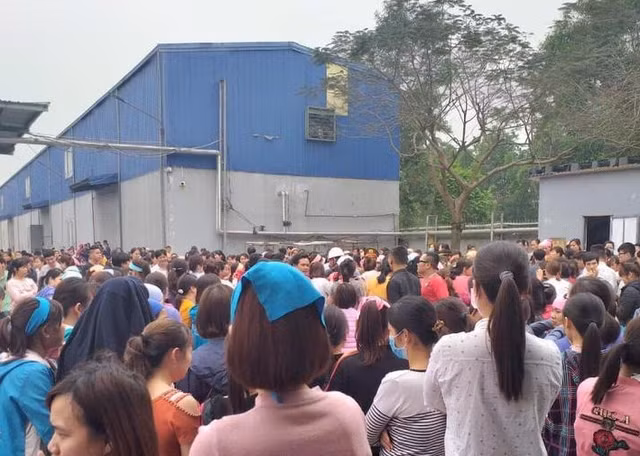 Nghi van thuc an cua Cong ty Great Global International co mui hoi thoi?